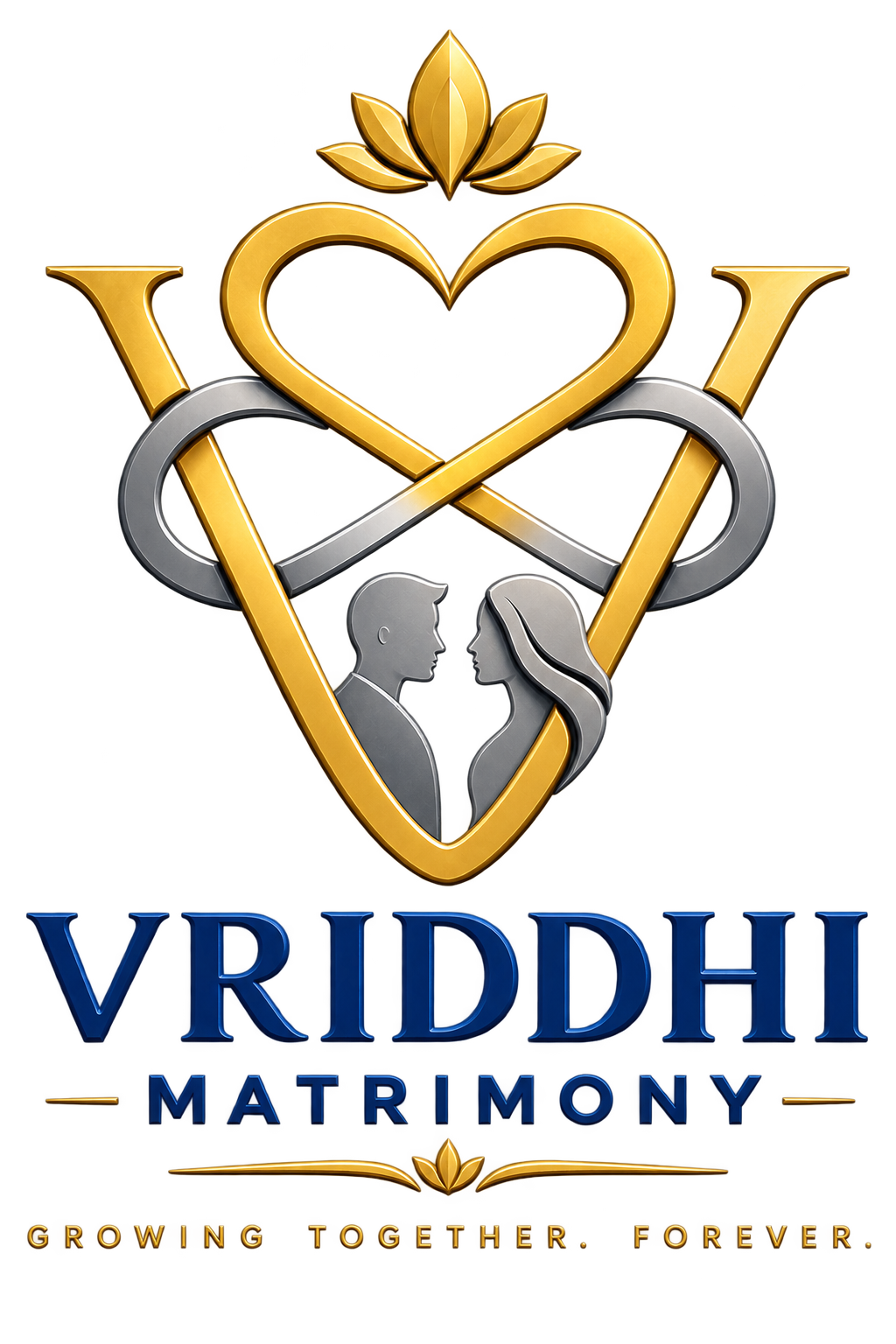 VRIDDHI ADMIN
